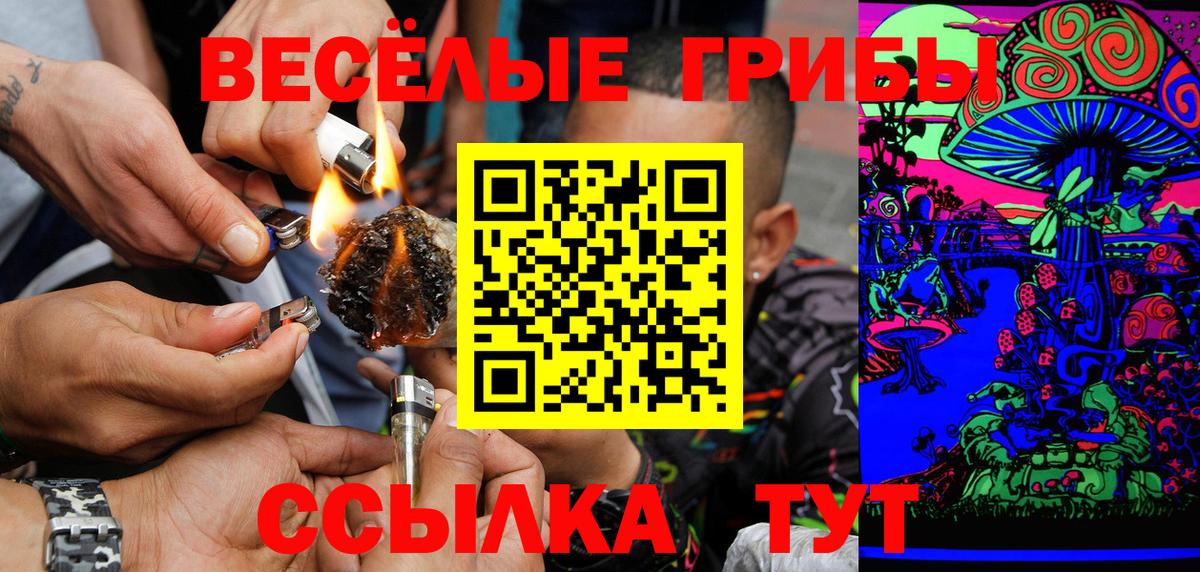 Галлюциногенные грибы GOLDEN TEACHER Томск