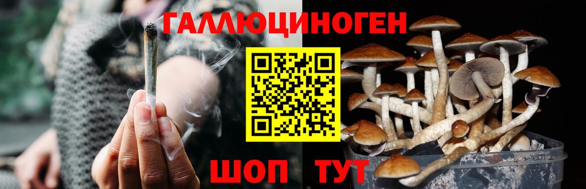 Томск  Галлюциногенные грибы Magic Shrooms  Галлюциногенные грибы GOLDEN TEACHER  Вход с VPN 